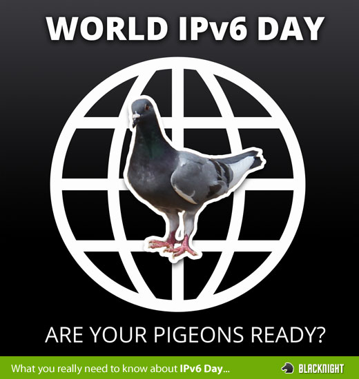 IPv6 Pigeon