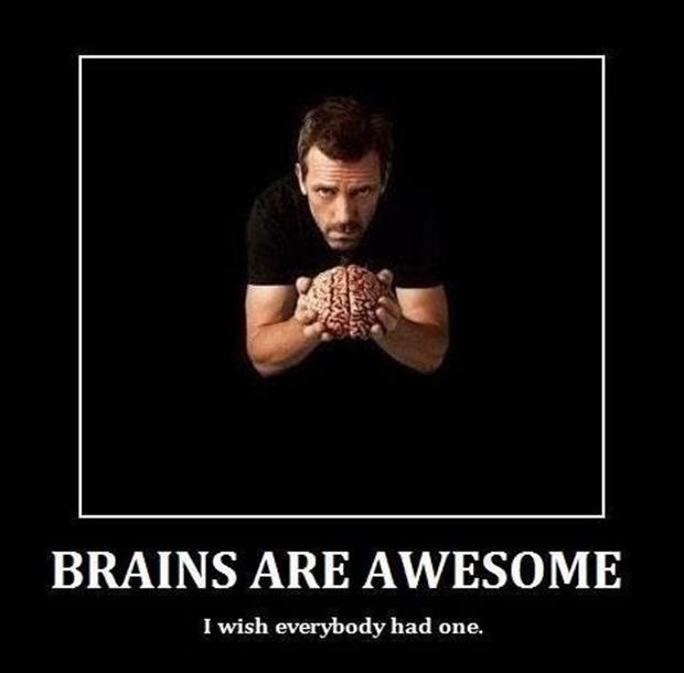 Brains