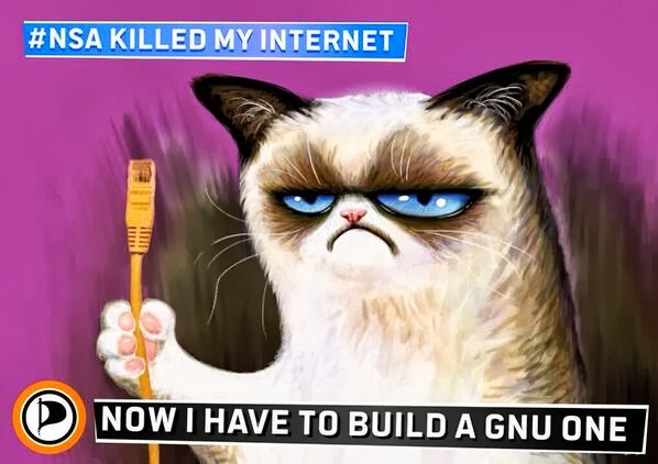 NSA vs Grumpy Cat